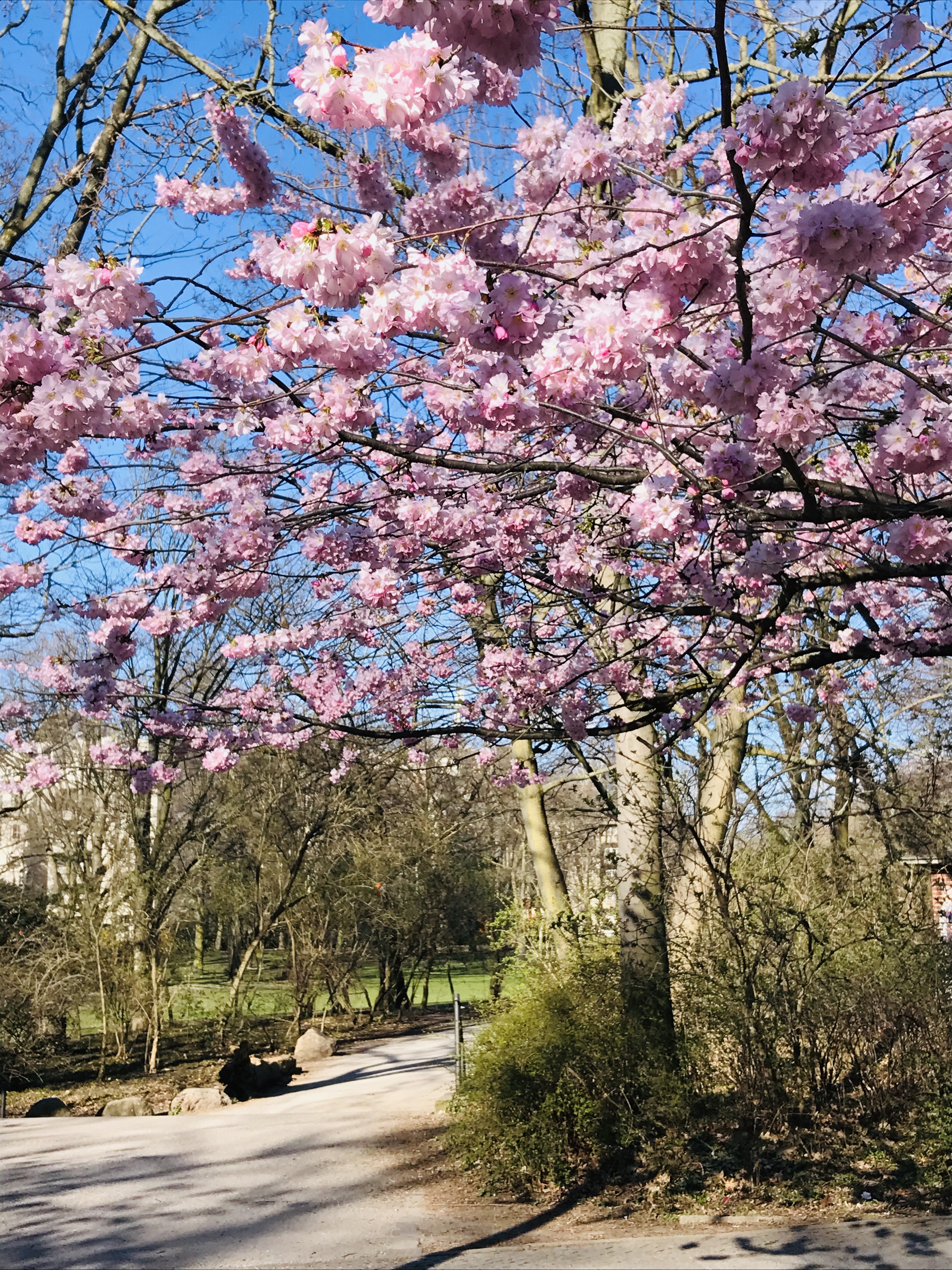 Am Ende wird alles gut und wenn es noch nicht gut ist, ist es noch nicht das Ende ….